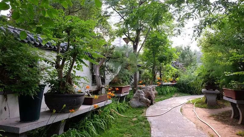 郑州市有什么好玩的地方景点推荐？郑州市十大旅游景点排名-河南省郑州市旅游攻略必去一日游有哪些免费景点(图2)