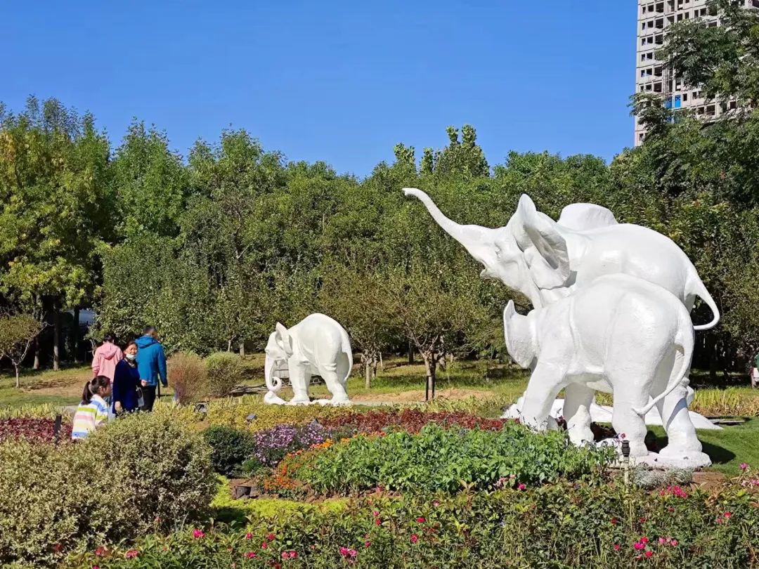 图片2.png