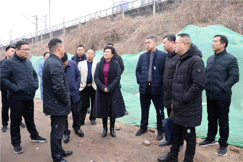 管城回族区代区长张艳敏实地查看铁路沿线拆迁绿化工作