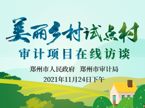 郑州市审计局美丽乡村试点村审计项目在线访谈