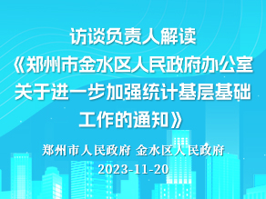 访谈负责人解读《郑州市金水区人民政府办公室关于进一步加强统计基层基础工作的通知》