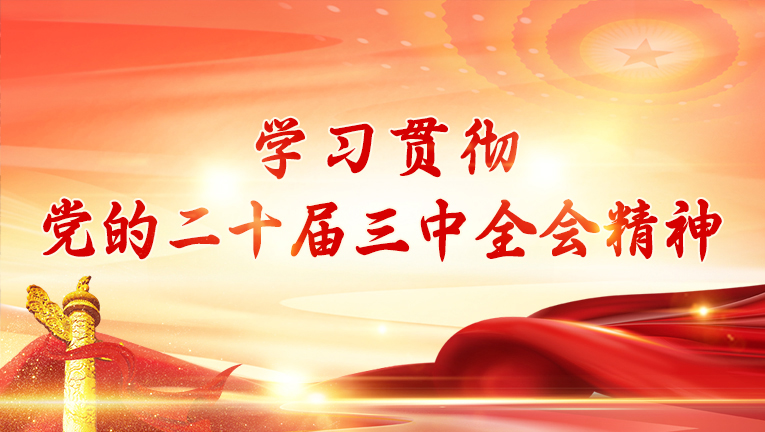 学习贯彻党的二十届三中全会精神