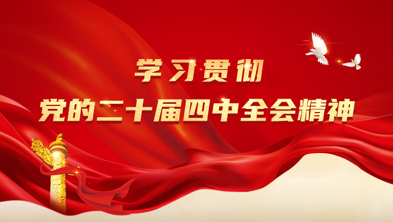 学习贯彻党的二十届四中全会精神