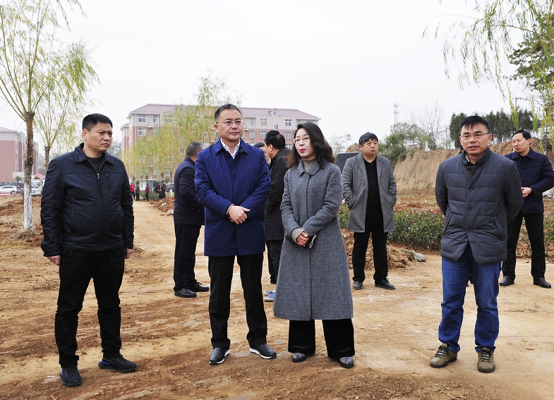 新密市委副书记,市长张红伟督导国土绿化提速行动工作